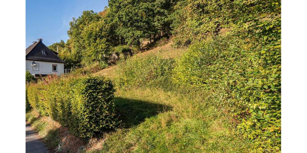 Grundstück Sundern - 99.000&euro; | Angebot:25664462