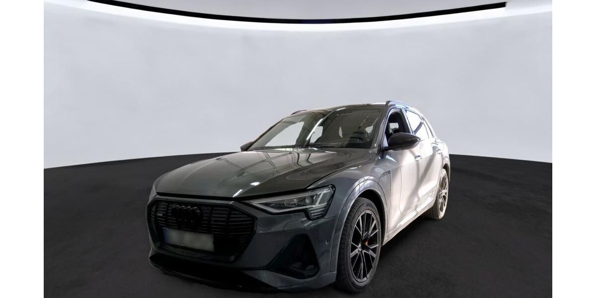 Audi e-tron 74.931 km 38.040 &euro; Hagen 58091