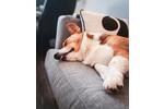 Einfamilienhaus Ennepetal - 5 Zimmer, 136 m&sup2;, 1.700&euro; | Angebot:26665380