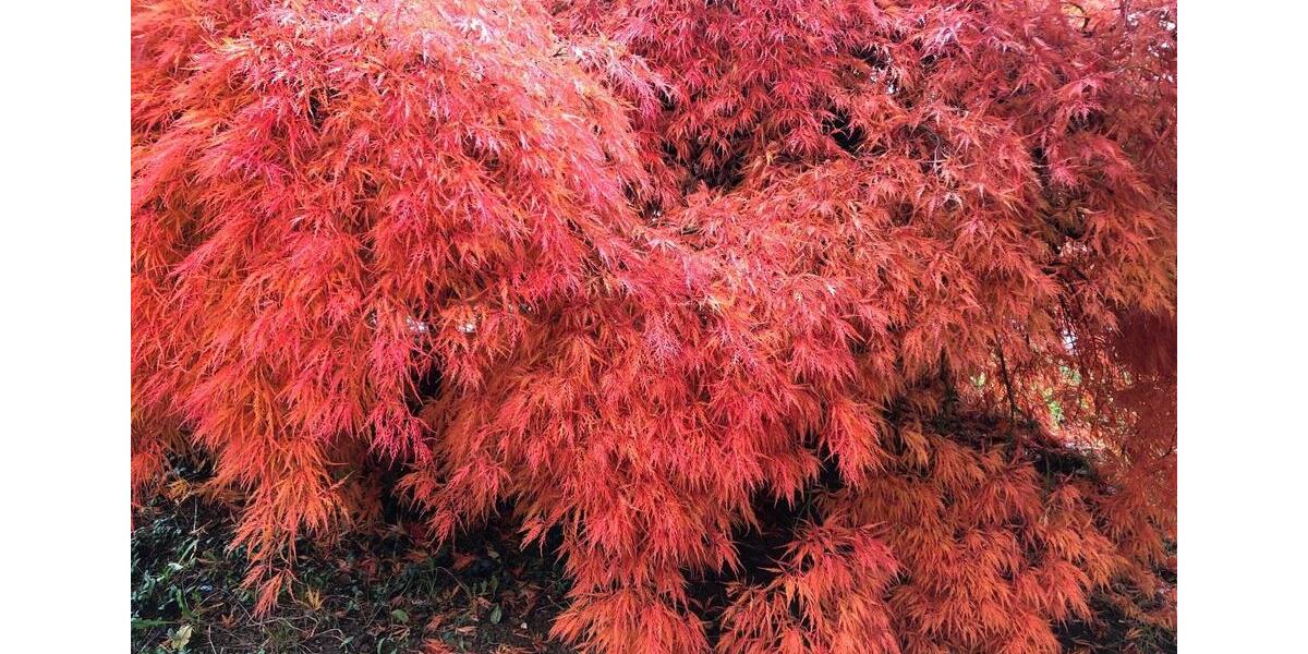 Gewerbeobjekt Gummersbach - 990&euro; | Angebot:25216777