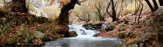 AquaMagis Plettenberg Sauerland Erlebnisbad Wasserrutschen