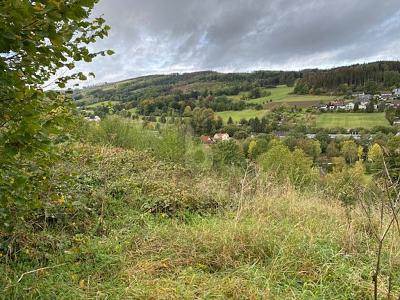 WOHNEN MIT TRAUMHAFTEN AUSBLICK - Grundstück Balve | Angebot:26981907
