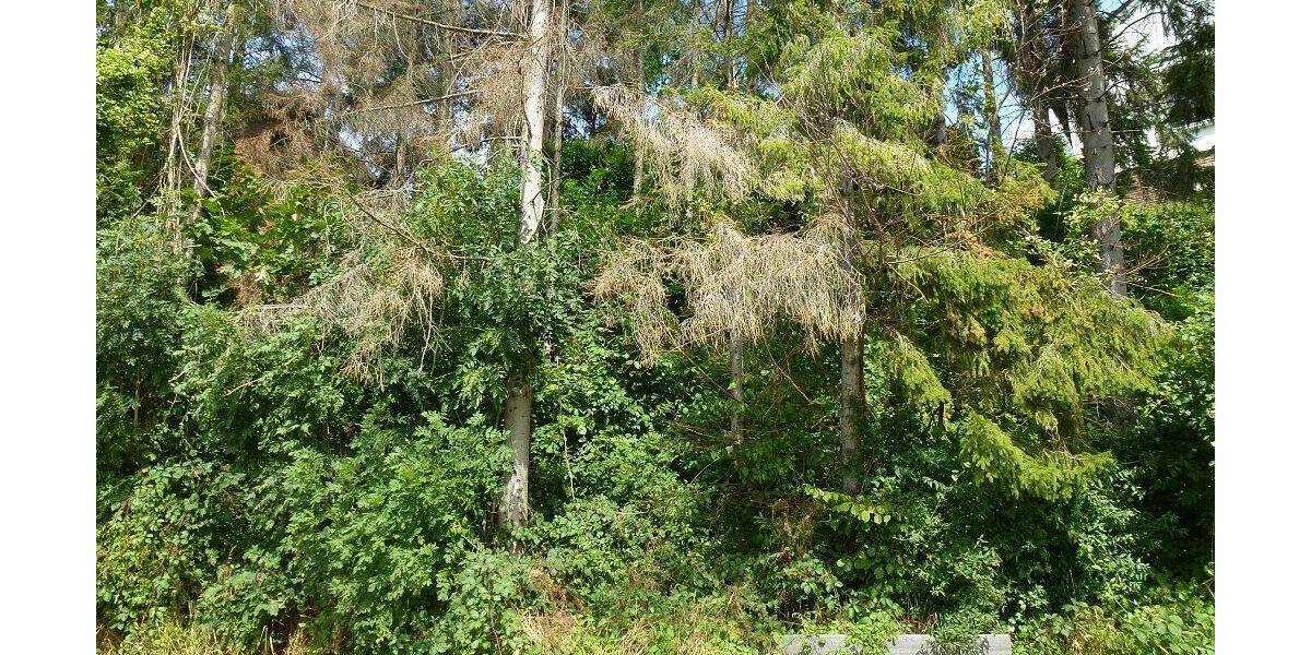 Grundstück Menden Asbeck - 48.000&euro; | Angebot:26119388