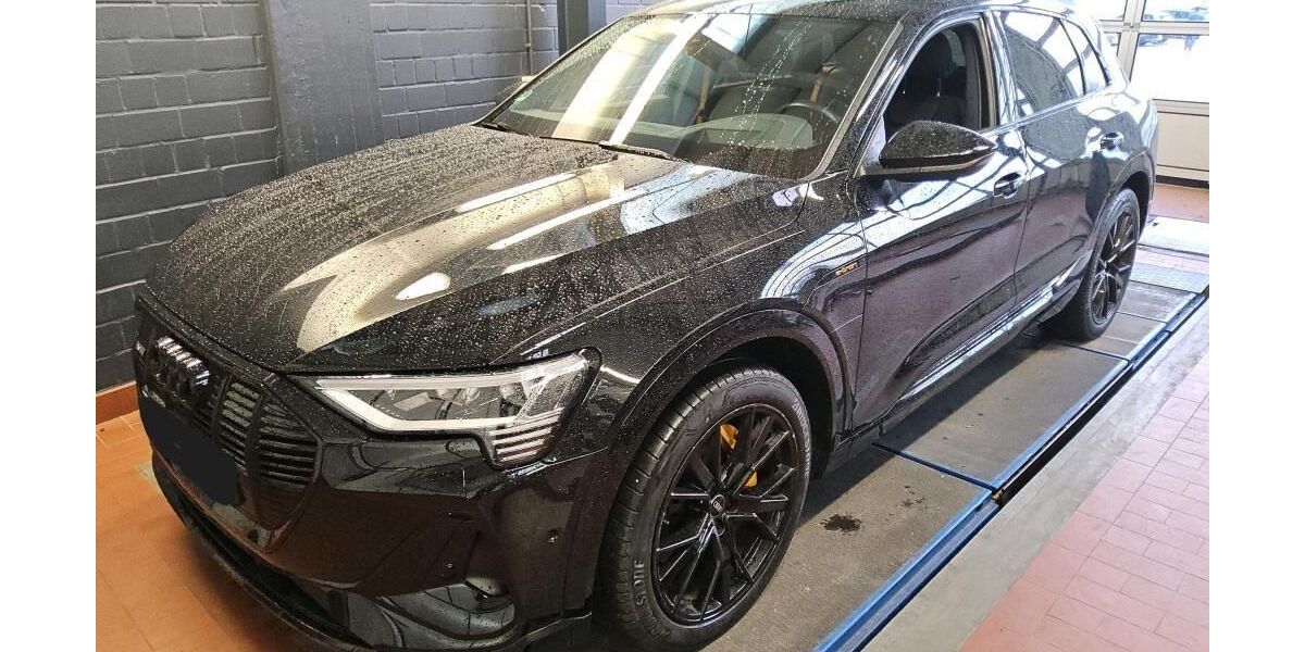 Audi e-tron 51.561 km 33.535 &euro; Hagen 58091
