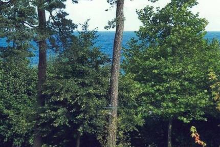 Wohnung Hagen Hagen-Mitte - 3 Zimmer, 62 m&sup2;, 310.000&euro; | Angebot:25963369