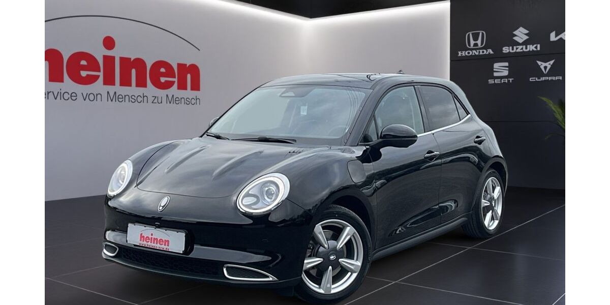 ORA Funky Cat 19.990 km 18.499 &euro; Menden 58708