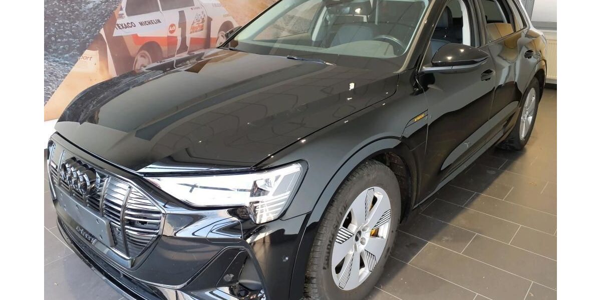 Audi e-tron 42.707 km 35.450 &euro; Hagen 58091