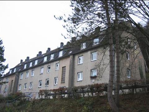 Dachgeschoßwohnung Werdohl - 3 Zimmer, 46 m&sup2;, 230&euro; | Angebot:24572410