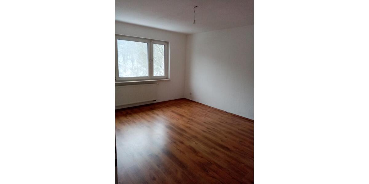 Etagenwohnung Lüdenscheid Othlinghausen - 2 Zimmer, 55 m&sup2;, 350&euro; | Angebot:26611428