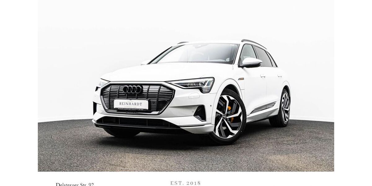 Audi e-tron 54.055 km 34.730 &euro; Hagen 58091