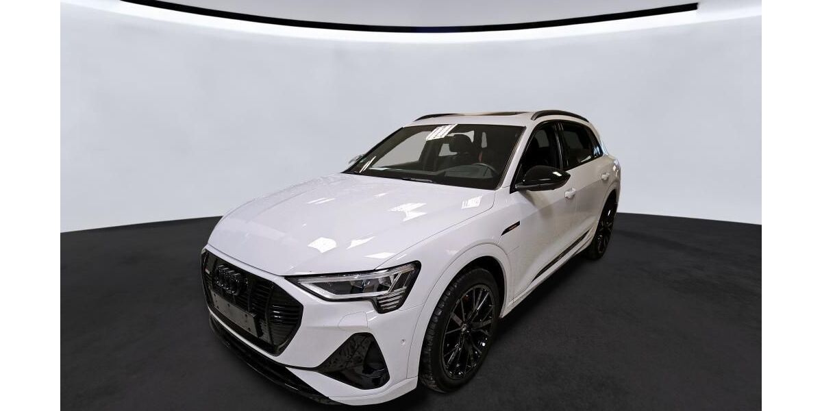 Audi e-tron 41.416 km 40.919 &euro; Hagen 58091