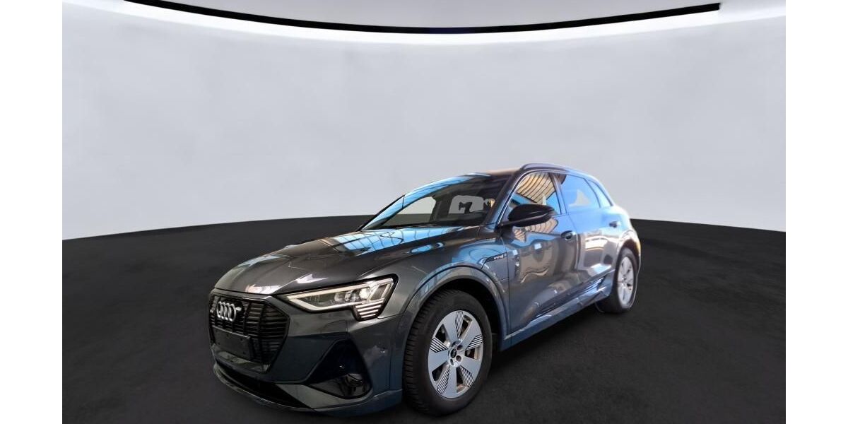 Audi e-tron 49.985 km 36.910 &euro; Hagen 58091
