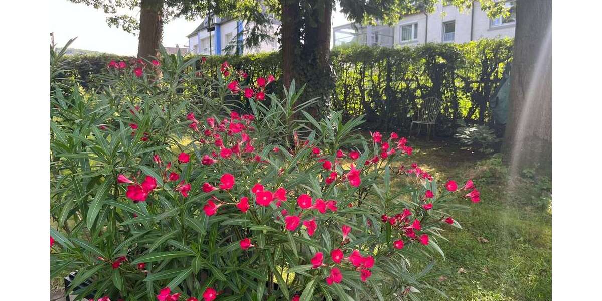 Grundstück Hagen Dahl - 133.000&euro; | Angebot:22440703