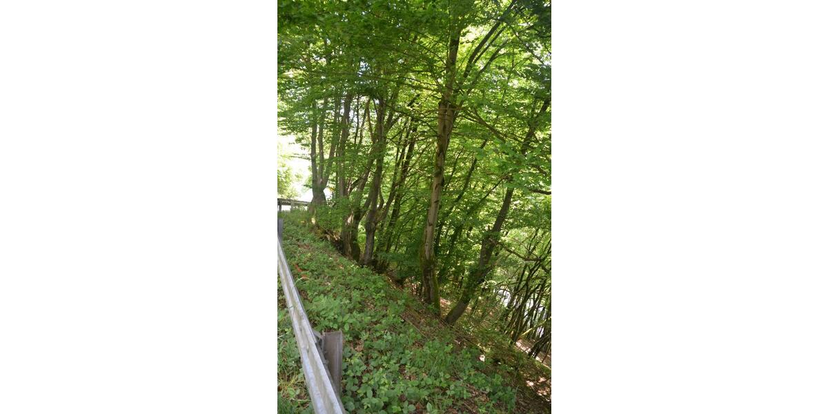 Grundstück Reichshof - 33.333&euro; | Angebot:25764344