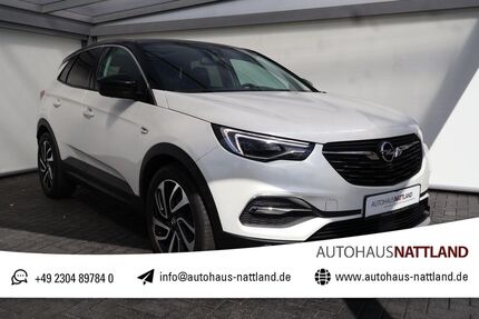 Opel Grandland (X) 79.945 km 17.950 &euro; Schwerte 58239