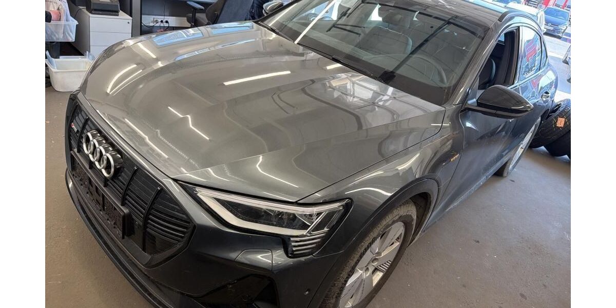 Audi e-tron 49.042 km 30.846 &euro; Hagen 58091