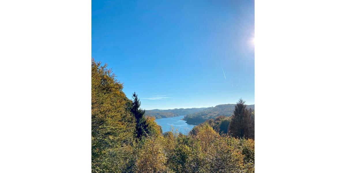 Terrassenwohnung Reichshof - 1 Zimmer, 39 m&sup2;, 780&euro; | Angebot:24307346