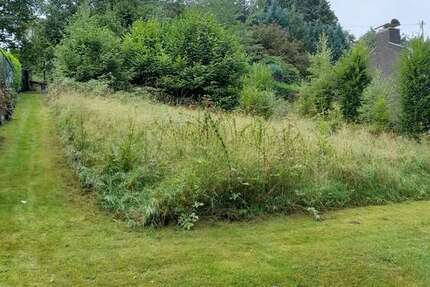 Grundstück Reichshof - 95.000&euro; | Angebot:22421530