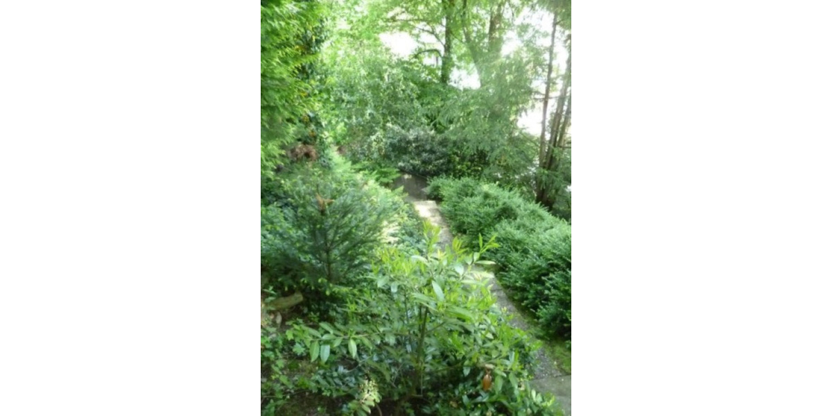 Villa Gummersbach - 6 Zimmer, 250 m&sup2;, 2.150&euro; | Angebot:25216498