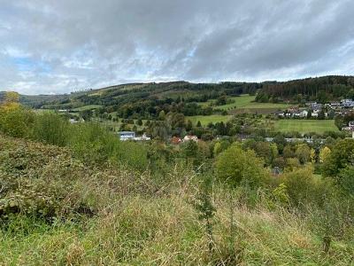 WOHNEN MIT TRAUMHAFTEN AUSBLICK - Grundstück Balve | Angebot:26543627