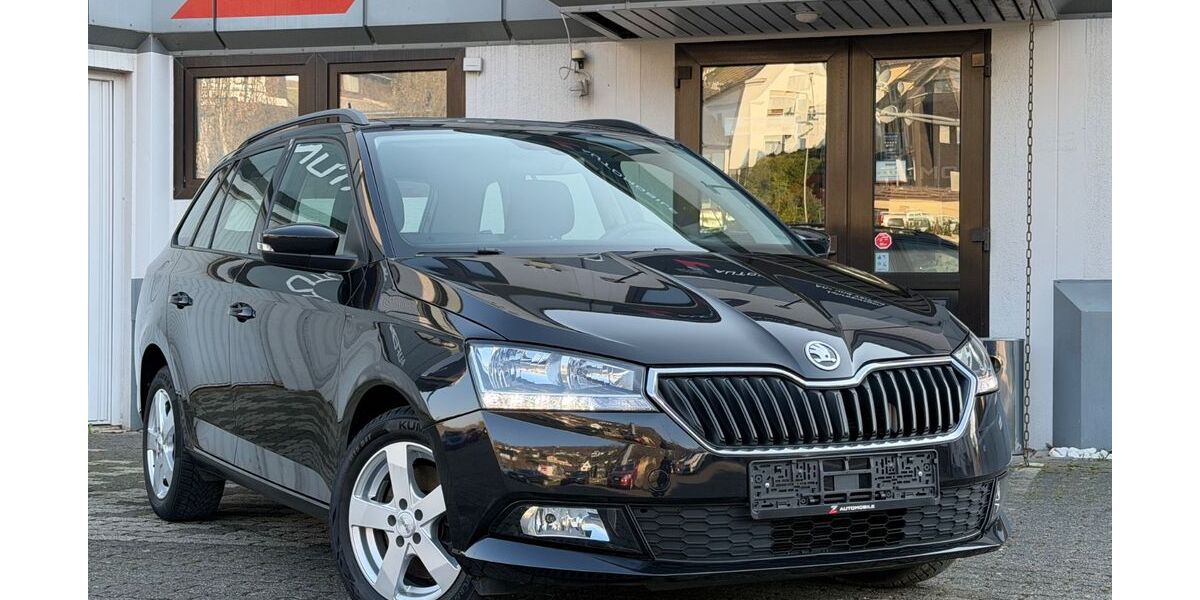 Skoda Fabia 32.000 km 14.390 &euro; Plettenberg 58840