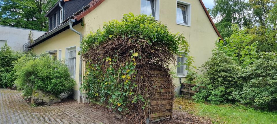 Erdgeschoßwohnung Lüdenscheid Othlinghausen - 2 Zimmer, 64 m&sup2;, 500&euro; | Angebot:26531501