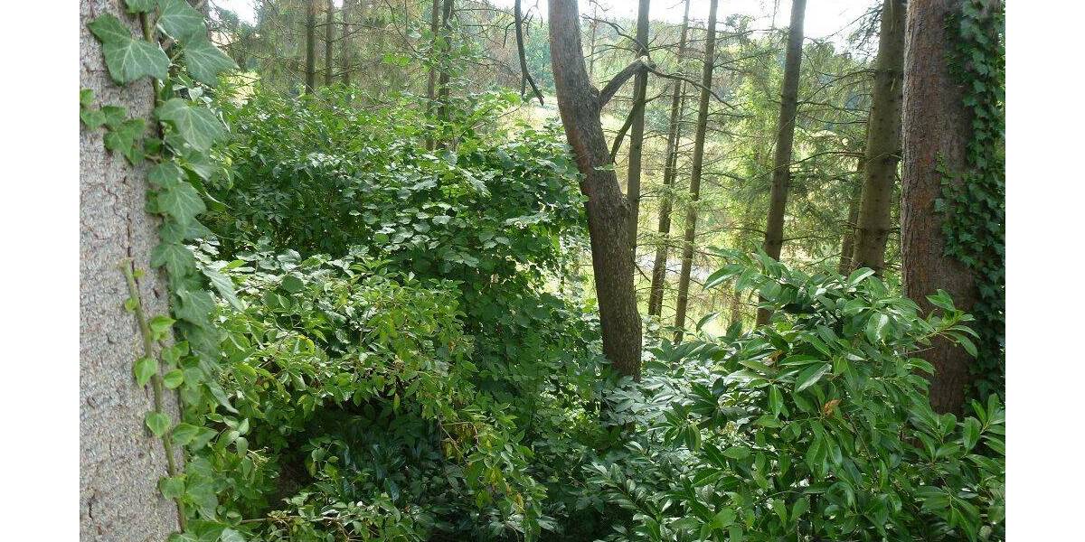 Grundstück Menden Asbeck - 48.000&euro; | Angebot:26119388