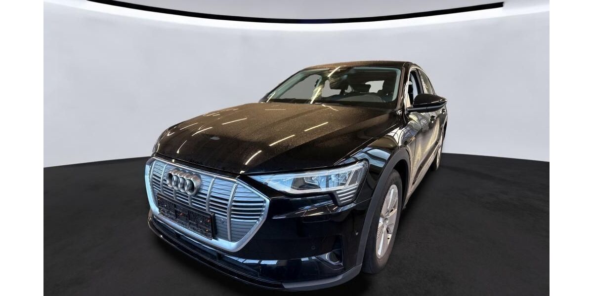 Audi e-tron 57.486 km 25.860 &euro; Hagen 58091