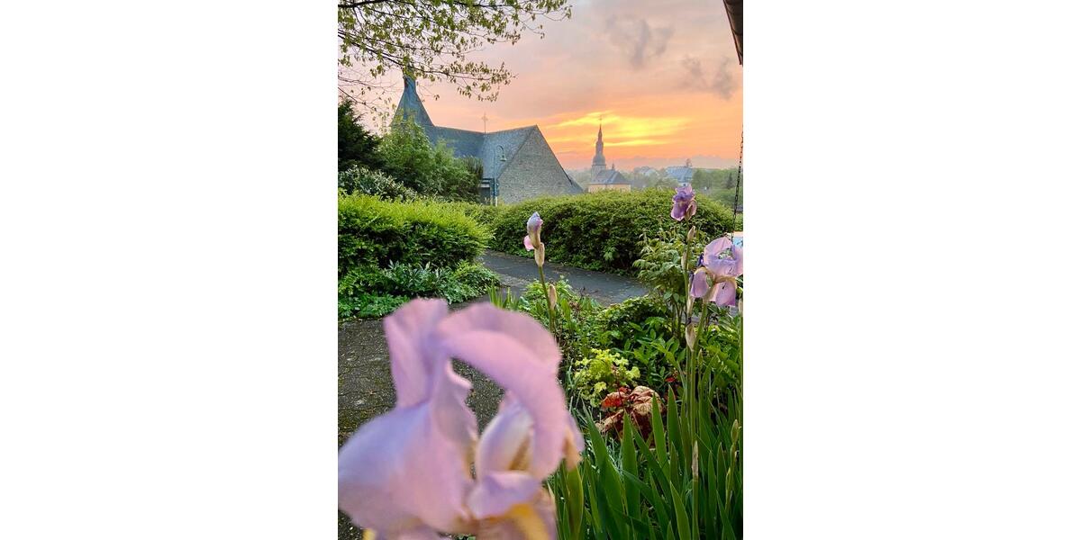 Terrassenwohnung Reichshof - 1 Zimmer, 39 m&sup2;, 780&euro; | Angebot:24307346