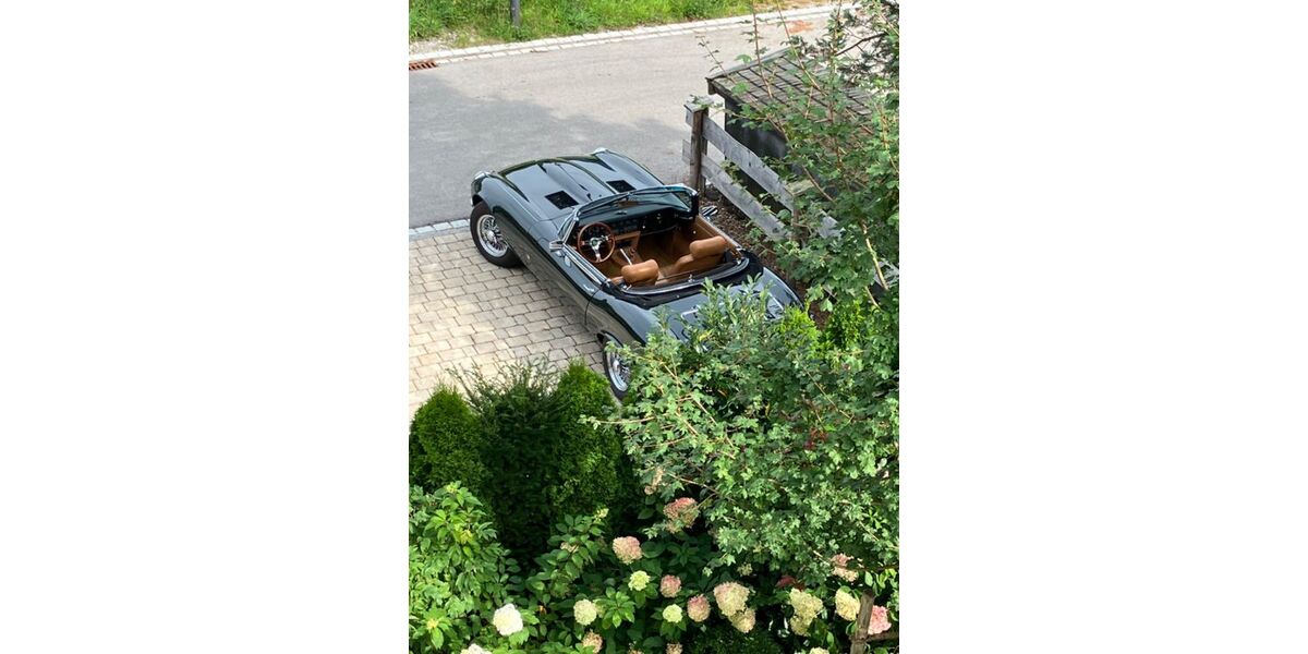 Jaguar E-Type 60.000 km 77.000 &euro; Halver 58553