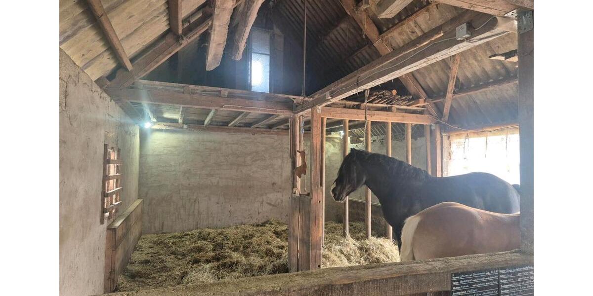 Bauernhaus, Landhaus Meinerzhagen - 4 Zimmer, 180 m&sup2;, 615.000&euro; | Angebot:25973710