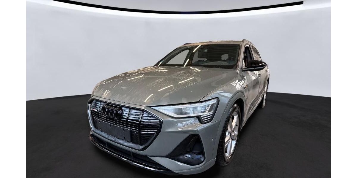 Audi e-tron 24.032 km 33.325 &euro; Hagen 58091