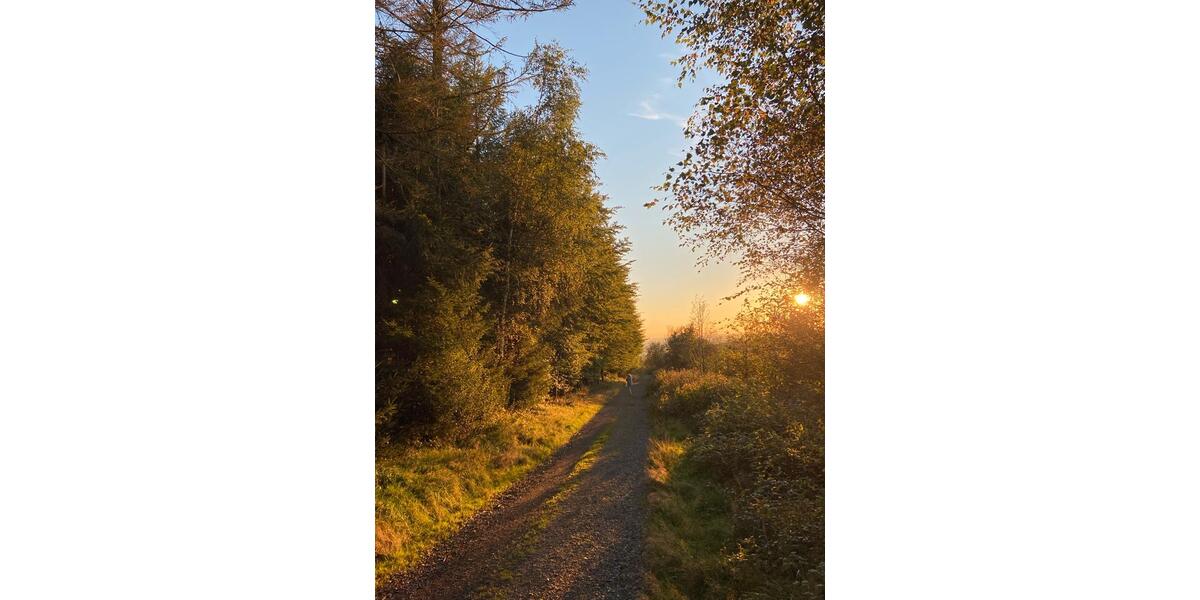 Terrassenwohnung Reichshof - 1 Zimmer, 39 m&sup2;, 780&euro; | Angebot:24307346