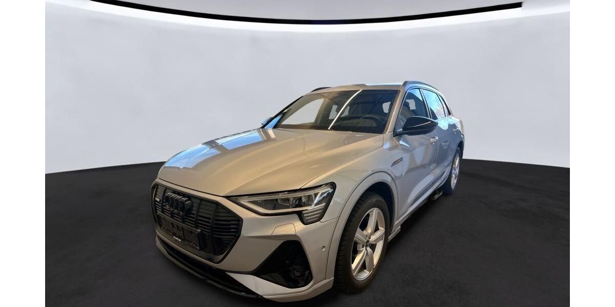 Audi e-tron 80.884 km 34.304 &euro; Hagen 58091
